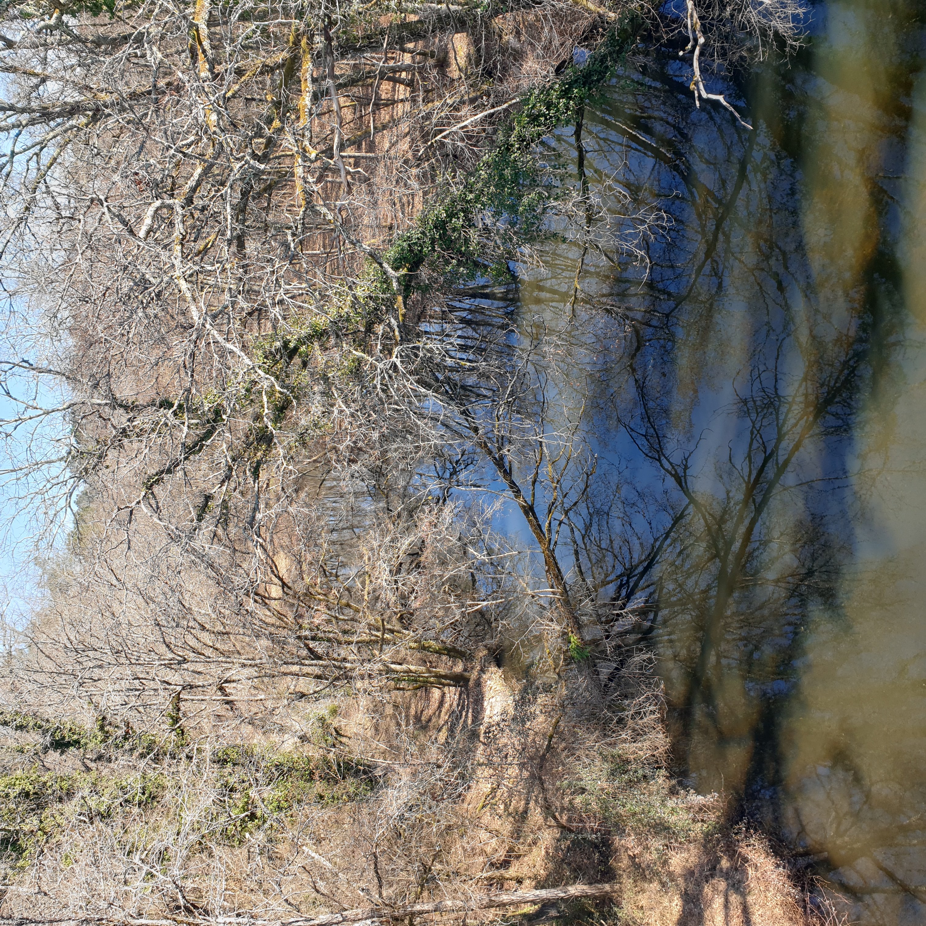 Le belvedère du Ciron, Bernos-Beaulac - photo 6