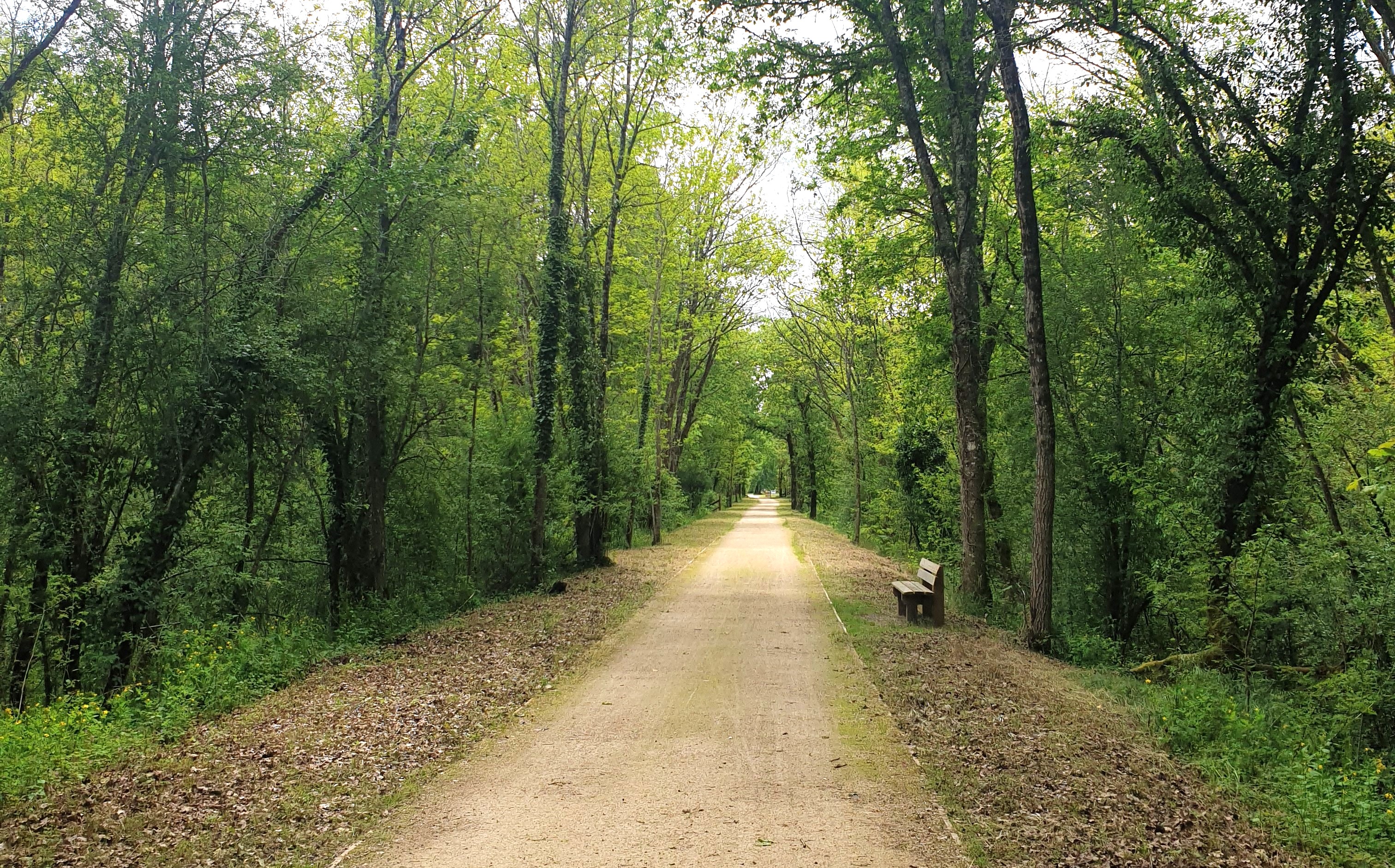 Le belvedère du Ciron, Bernos-Beaulac - photo 8