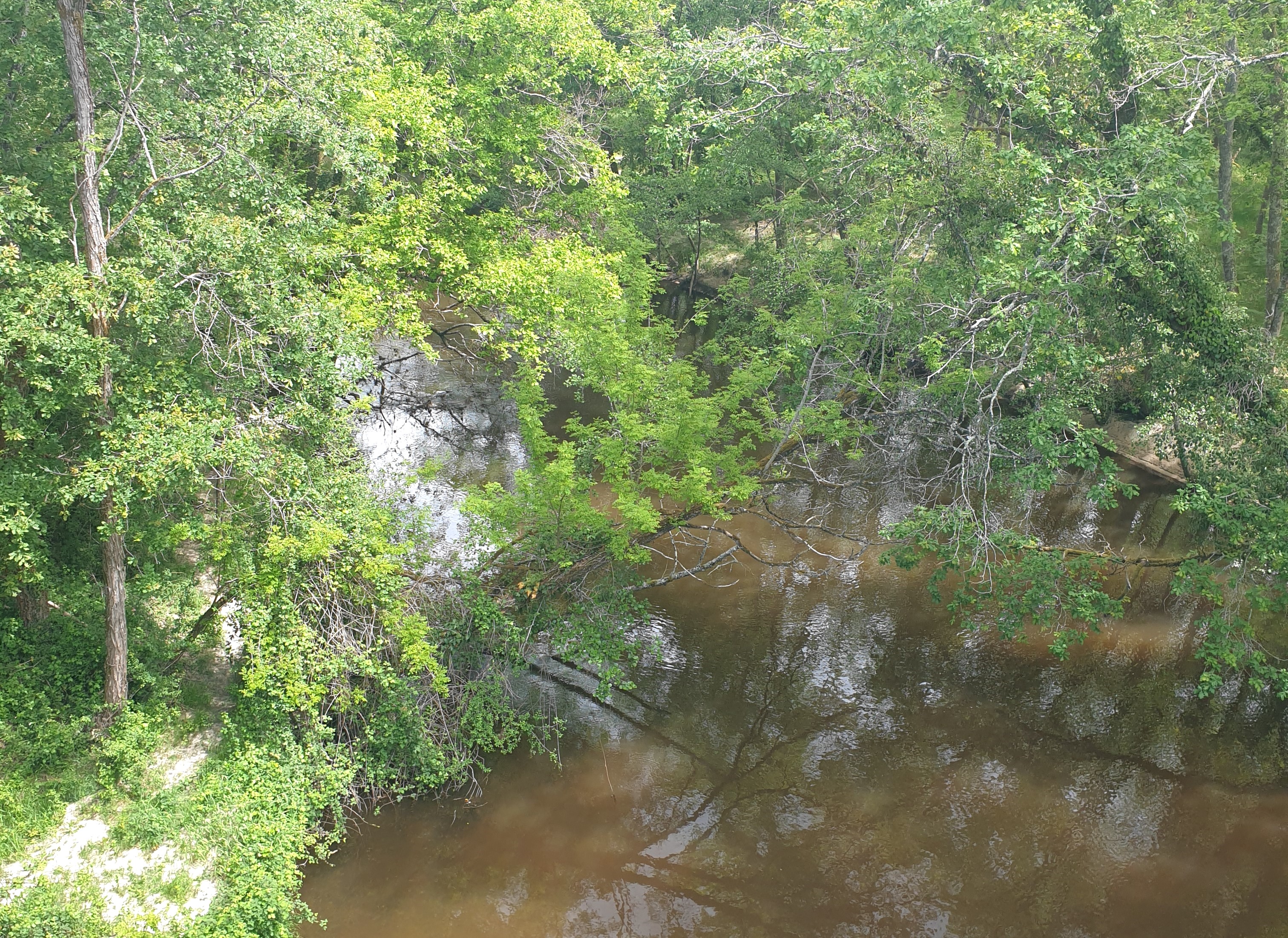 Le belvedère du Ciron, Bernos-Beaulac