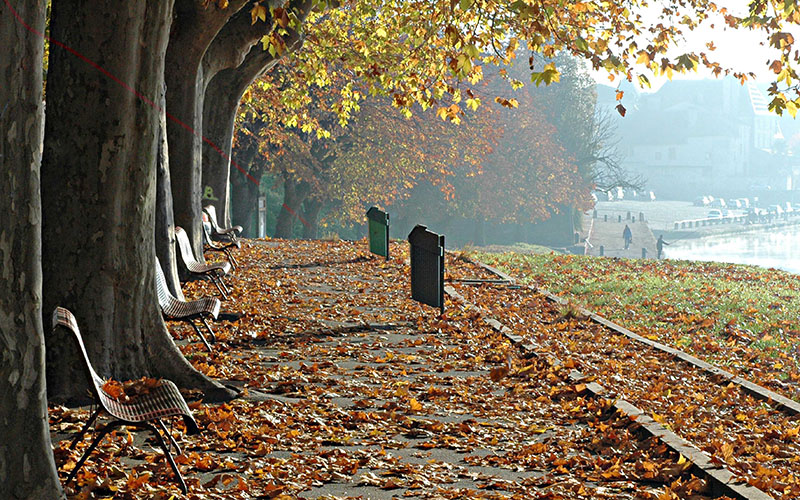Ville d'Art et d'Histoire de Bergerac