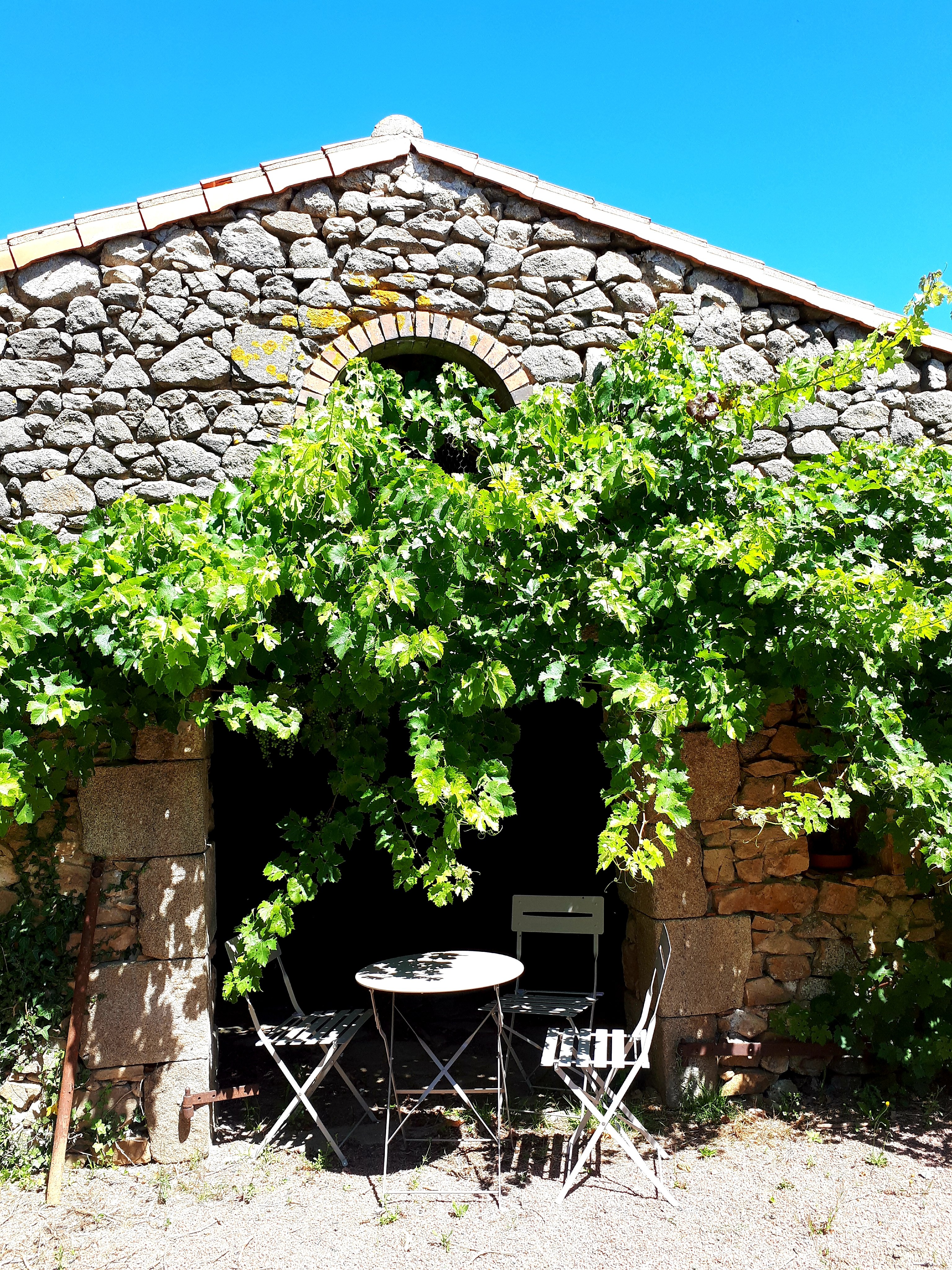 Les Guyonnières, Mauléon - photo 7