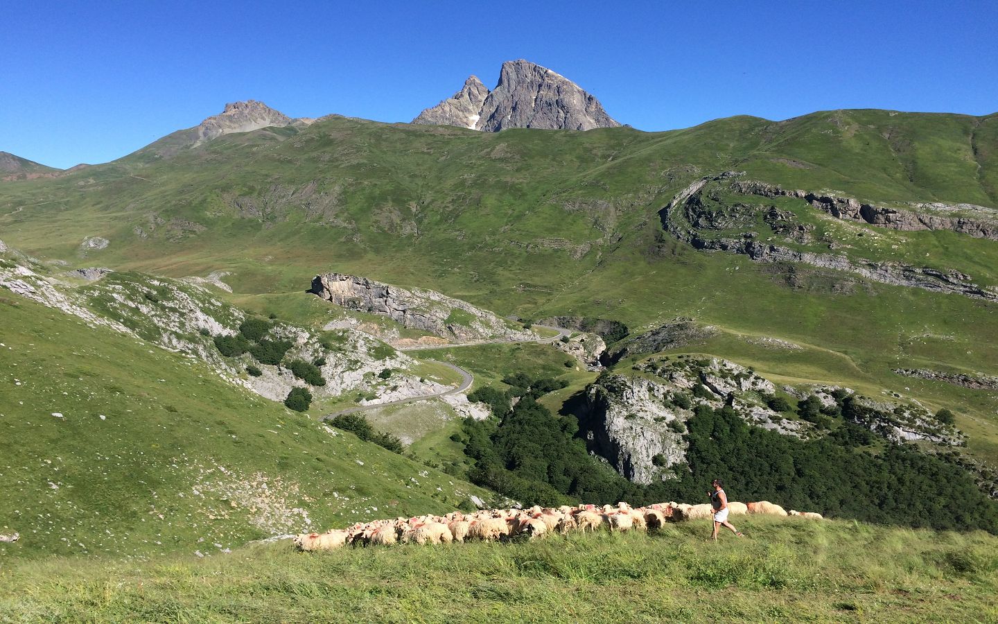 Bergerie Loustau - photo 4