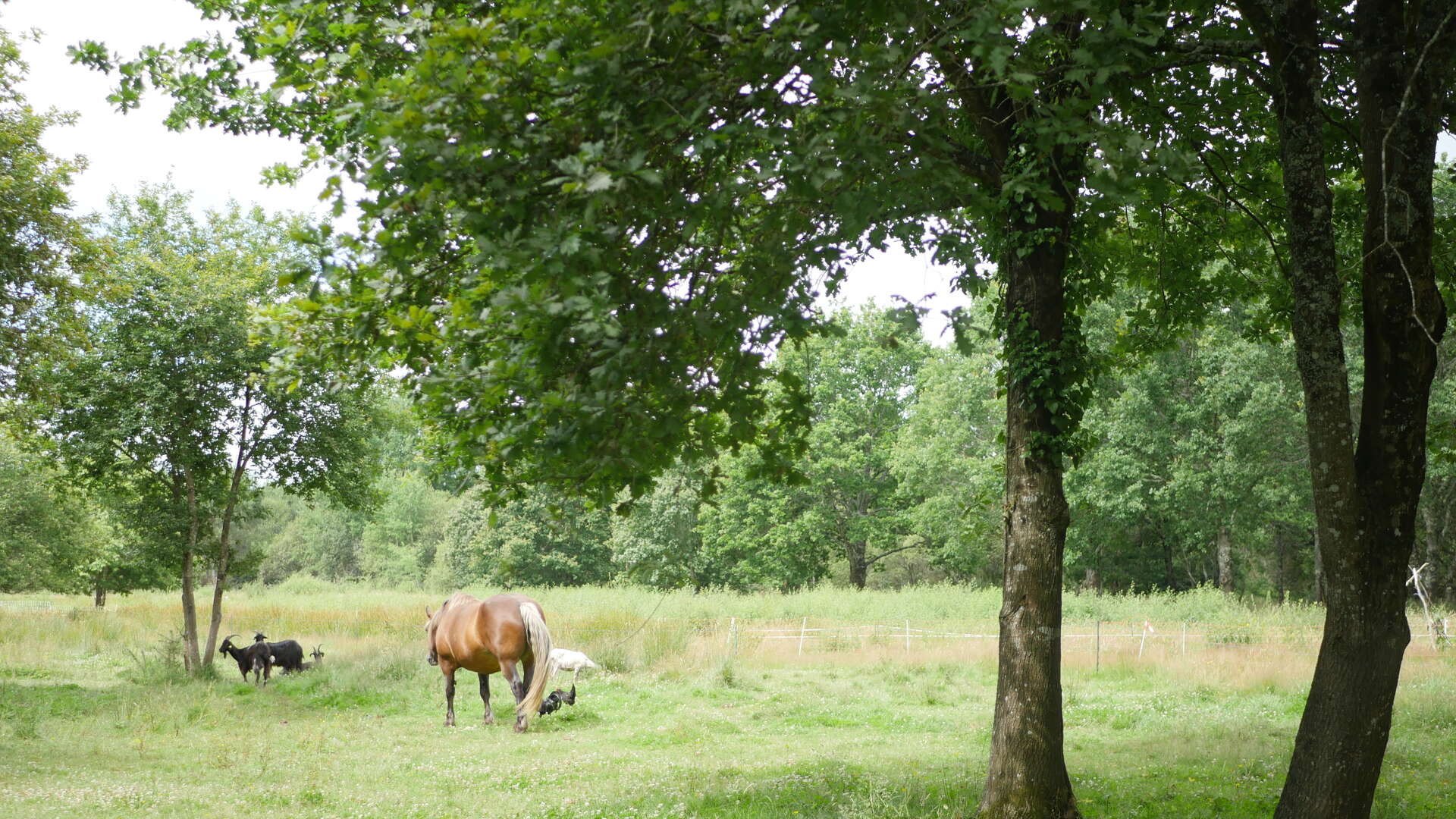 Bergerie des Matruques, Saint-Aubin-de-Médoc - photo 3
