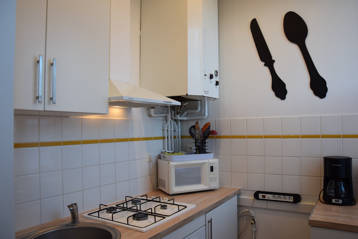 Les Bergeronnettes - Domaine des Chaulnes, Grignols - photo 9