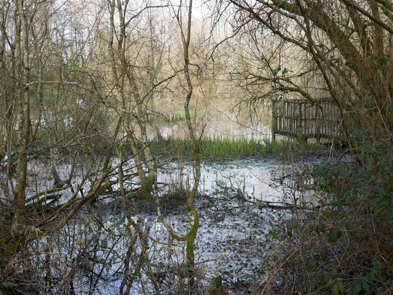 Les Berges de l'Arlas et du Luy de Béarn