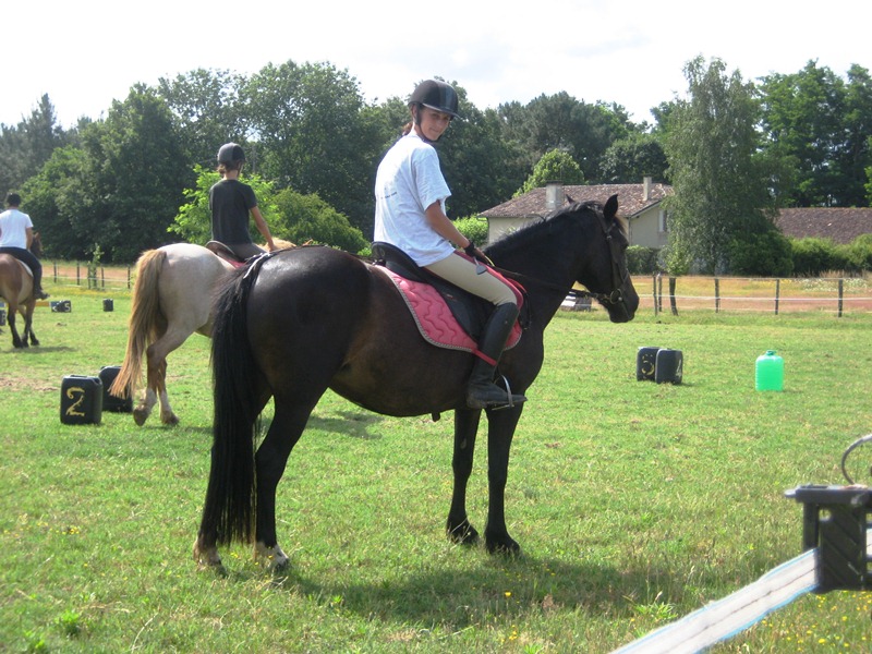 Poney-Club les Galop-pins - photo 2