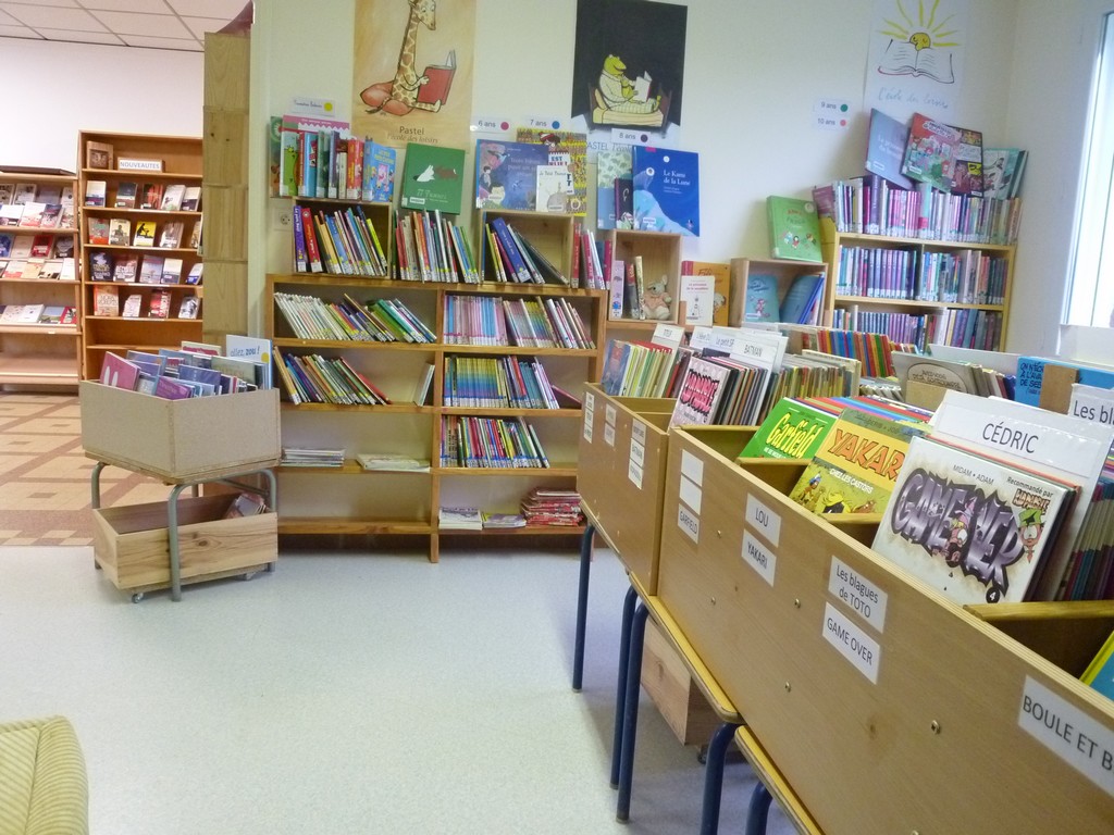 Bibliothèque pour tous, Biscarrosse - photo 3