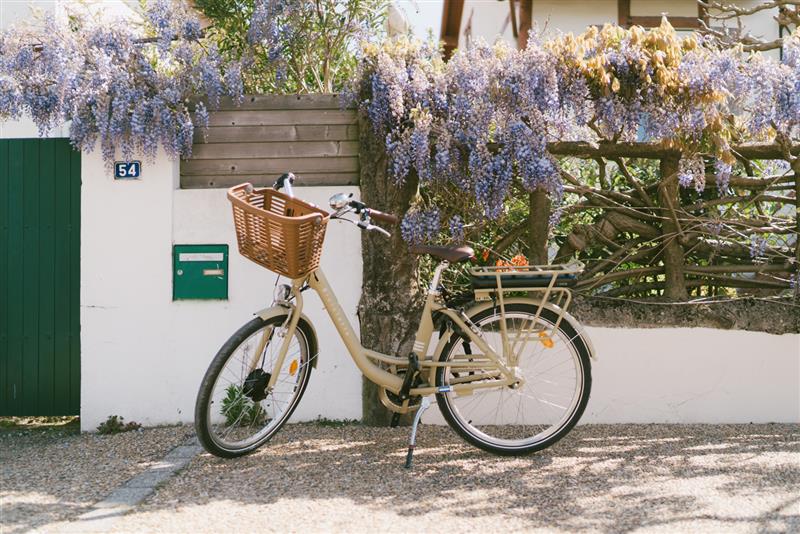 Bicicletta la maison du cycle