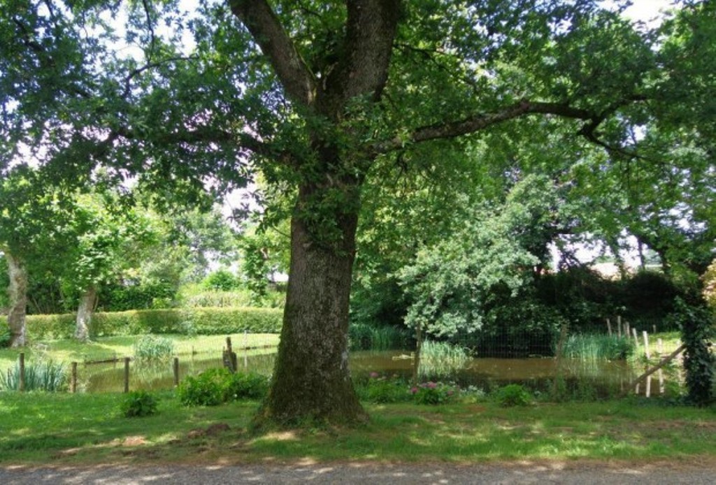 Camping La ferme Bizençon, Cassen - photo 5