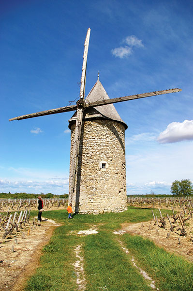 Moulin à vent de Courrian, Blaignan-Prignac - photo 3