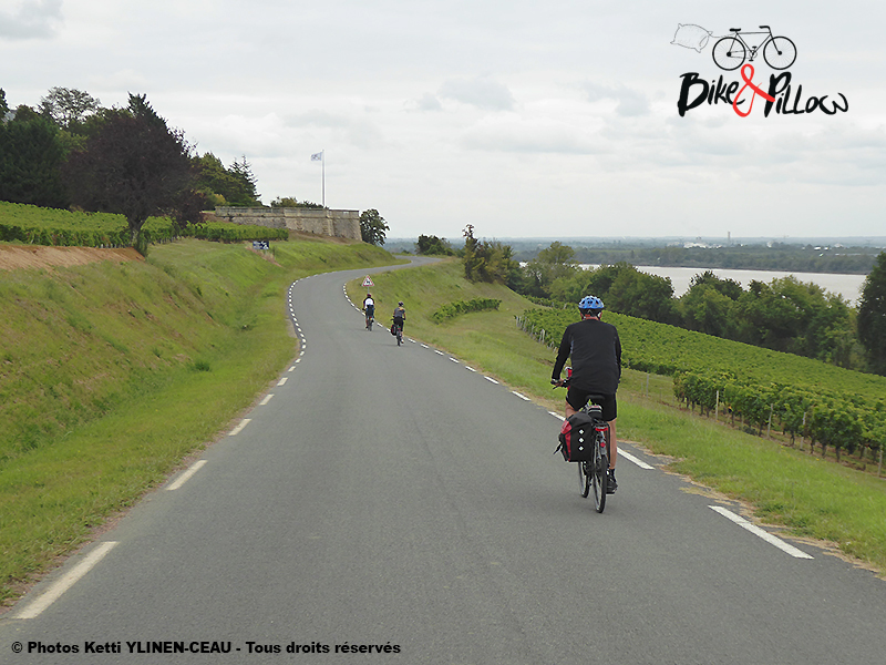 Bike & Pillow - photo 5