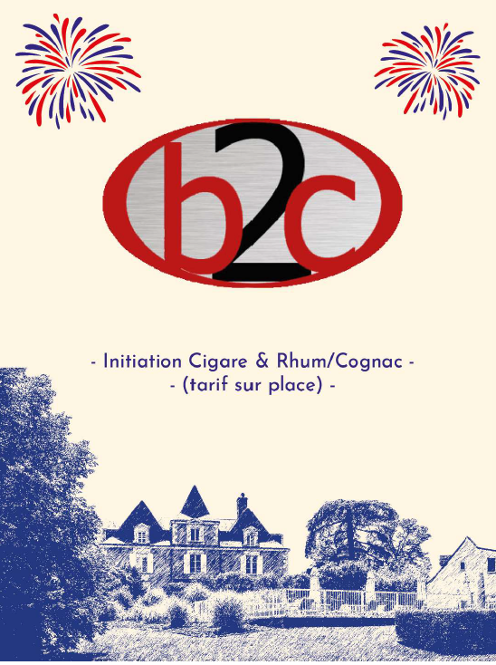 Bleu blanc manoir au Manoir des Cèdres, Rouffignac-Saint-Cernin-de-Reilhac - photo 6