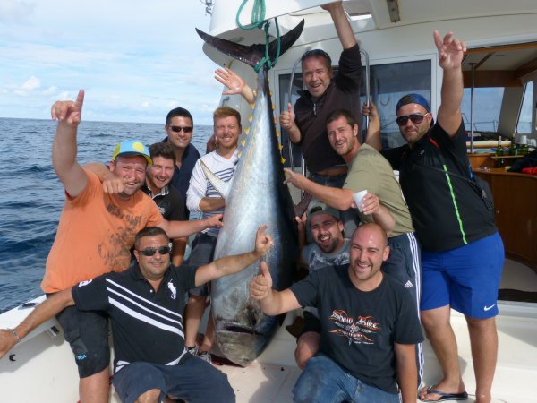 Bluefin Tuna - photo 2
