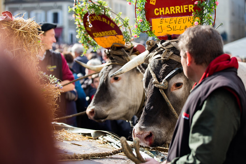Tour de Gironde à vélo : étape 4 - La Réole / Bazas, La Réole - photo 3