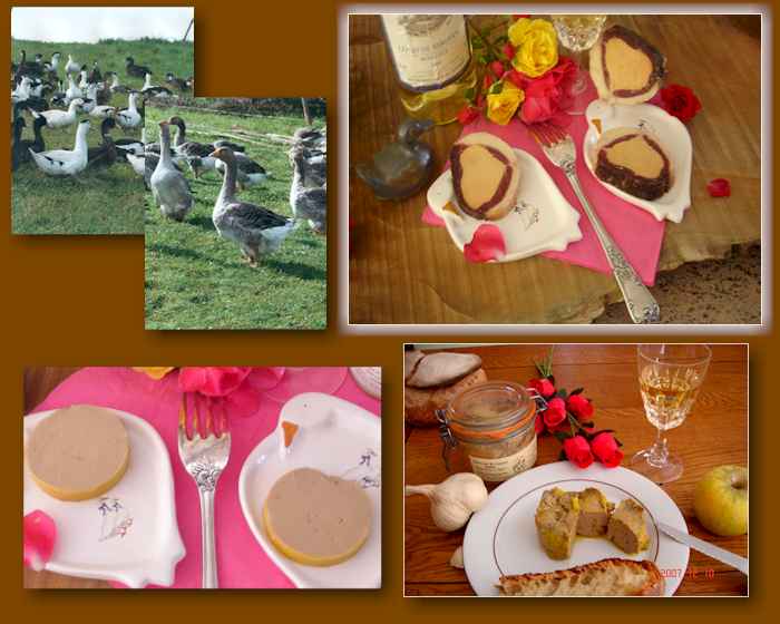 Ferme aux canards - Catinel Patrick