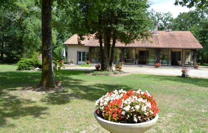 Bois joli, Saint-Pé-Saint-Simon - photo 16