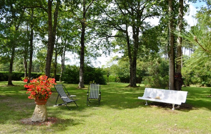 Bois joli, Saint-Pé-Saint-Simon - photo 13