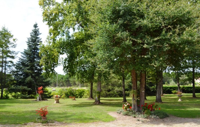 Bois joli, Saint-Pé-Saint-Simon - photo 6