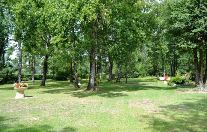 Bois joli, Saint-Pé-Saint-Simon - photo 7