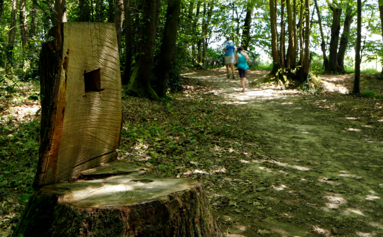 Bois de Margnat, Artigues-près-Bordeaux - photo 2
