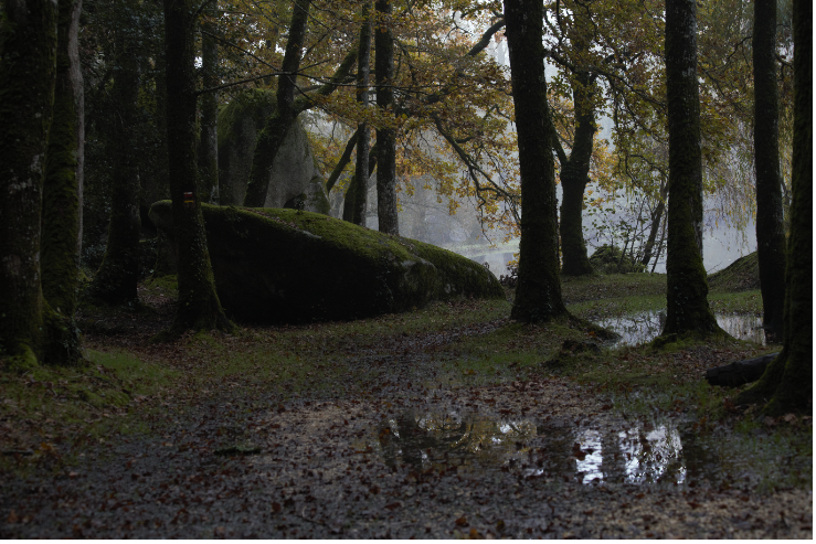Etang du Bois Pouvreau - photo 3