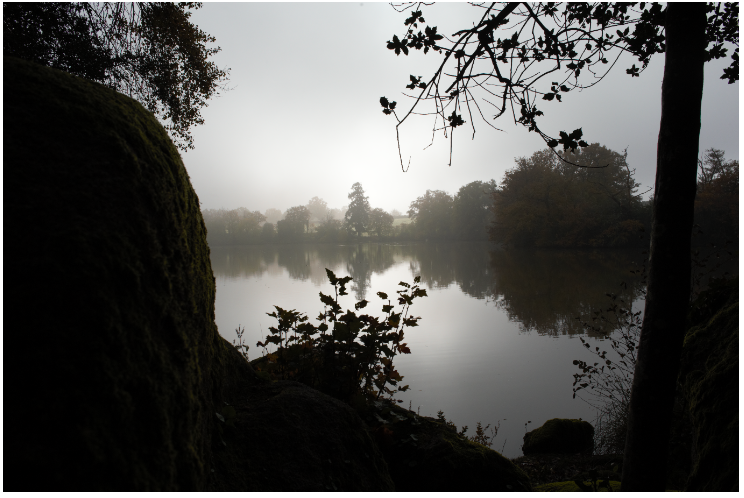 Etang du Bois Pouvreau - photo 4