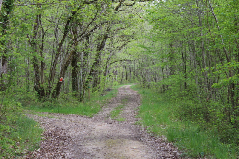 Circuit des bois de Margueron, Margueron - photo 2