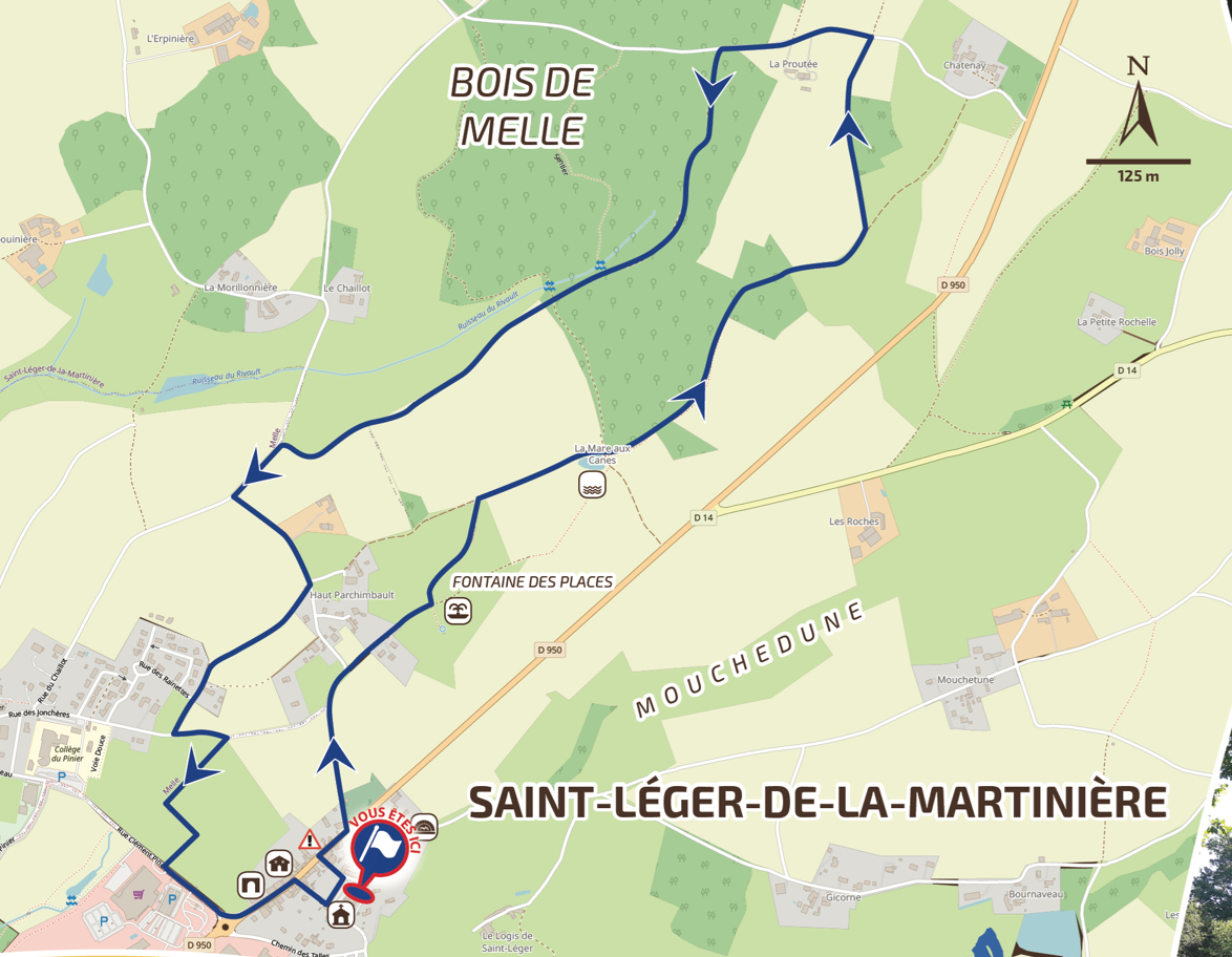 Les Bois de Melle - Saint-Léger-de-la-Martinière — photo 3