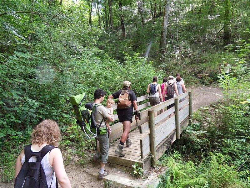 Bois de Mixe / Amikuzeko oihana