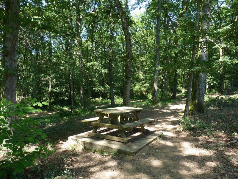 Parcours d'orientation