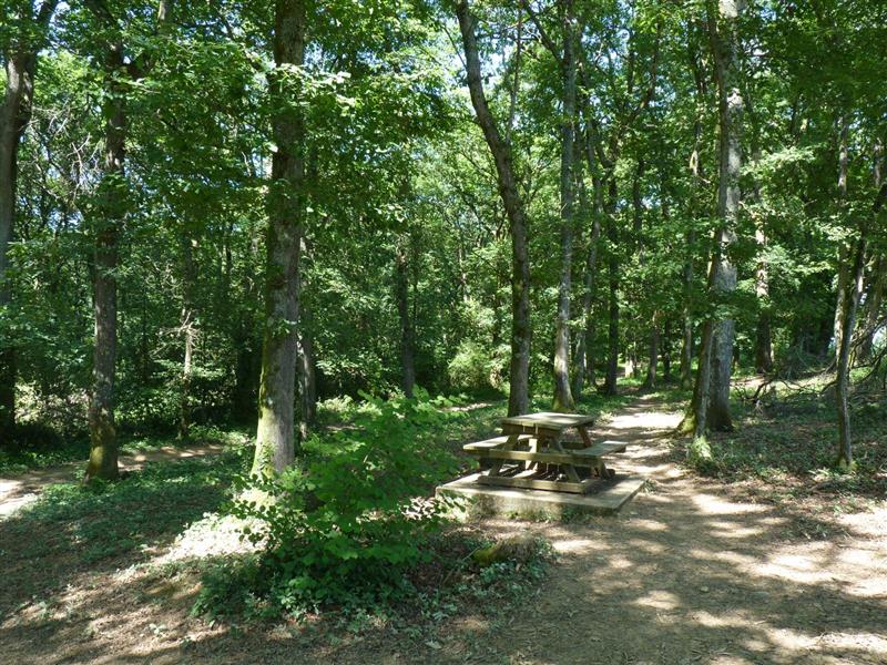 Parcours d'orientation