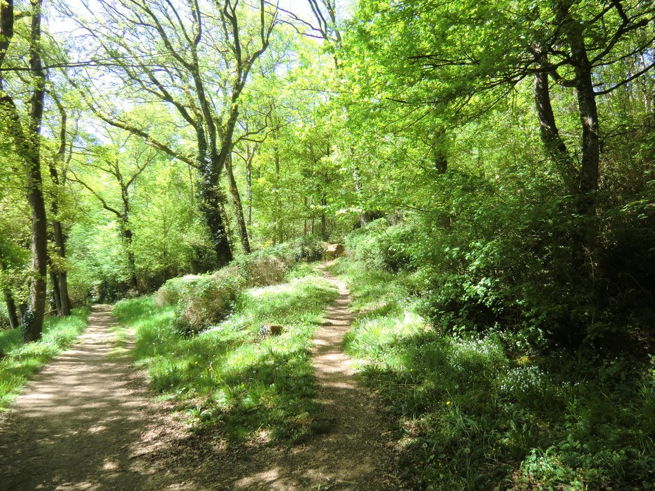 Les Bois de la Garenne, Nouaillé-Maupertuis - photo 9