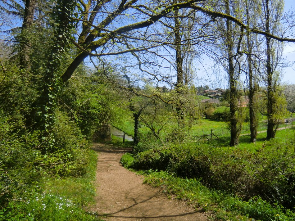 Les Bois de la Garenne, Nouaillé-Maupertuis - photo 6