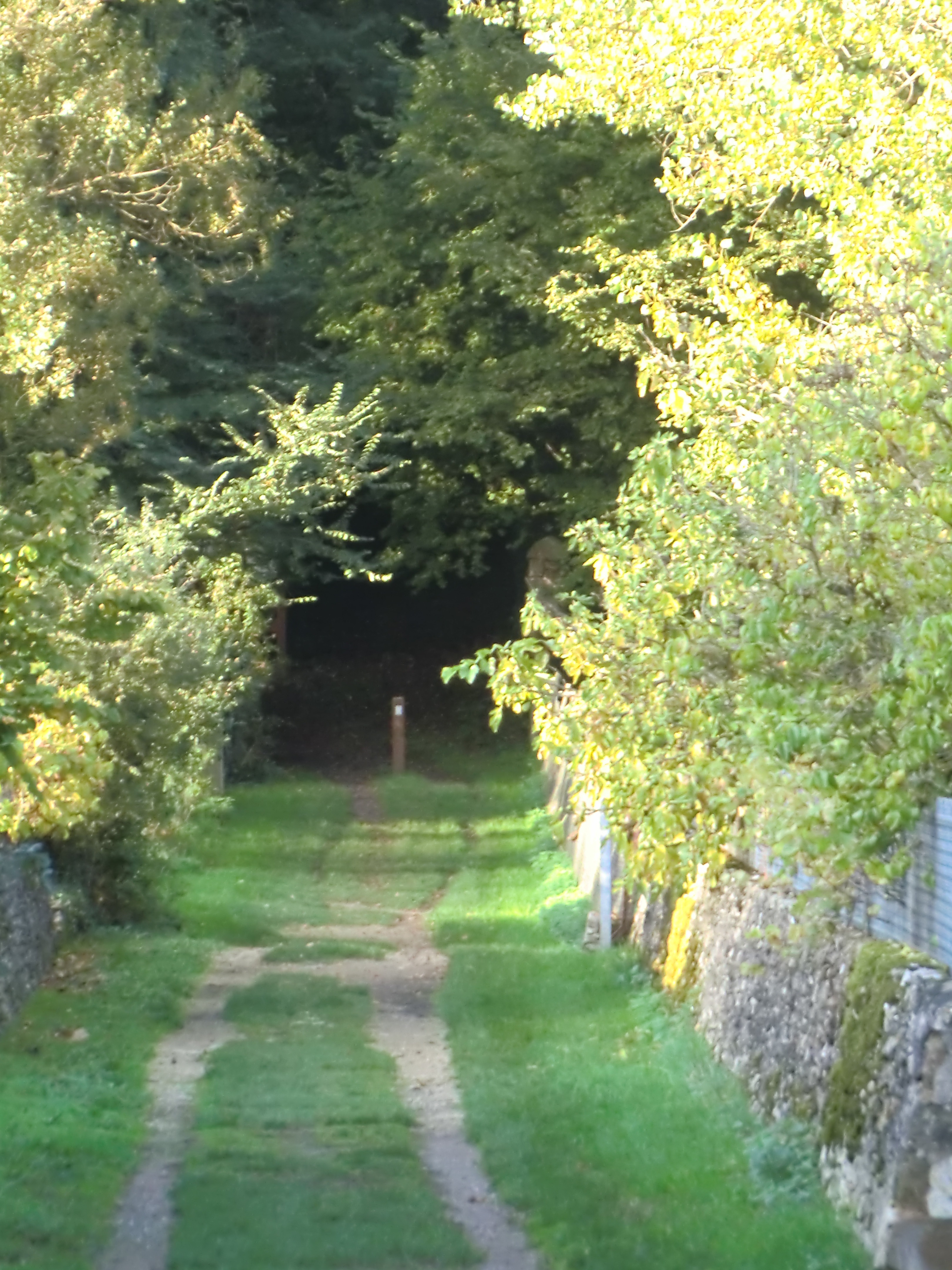 Les Bois de la Garenne, Nouaillé-Maupertuis - photo 8
