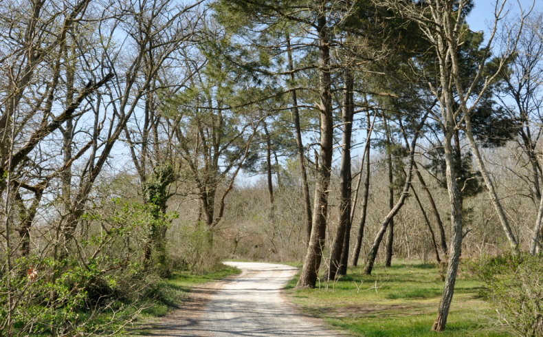 Bois du Déhès & Moulin du Moulinat, Le Haillan