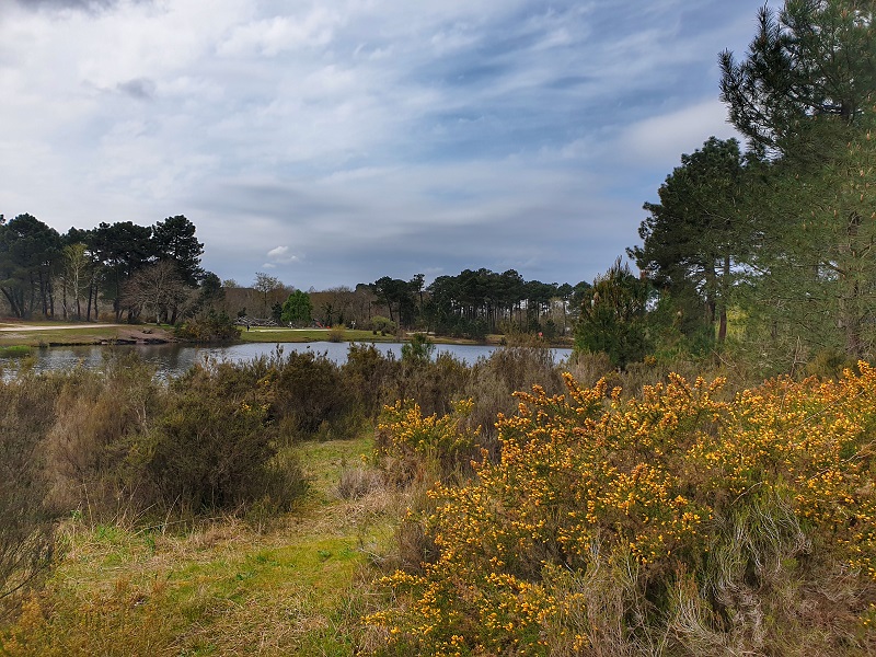 Balade à roulettes : Le bois des sources du Peugue, Pessac