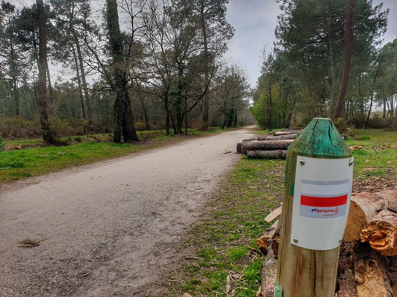 Le bois des sources du Peugue, Pessac - photo 2