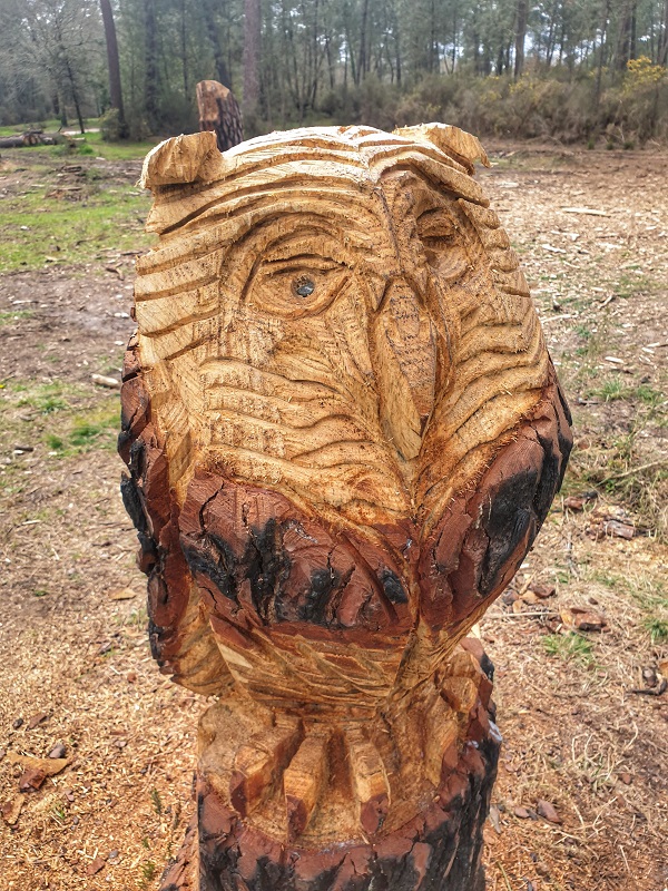 Le bois des sources du Peugue, Pessac - photo 5