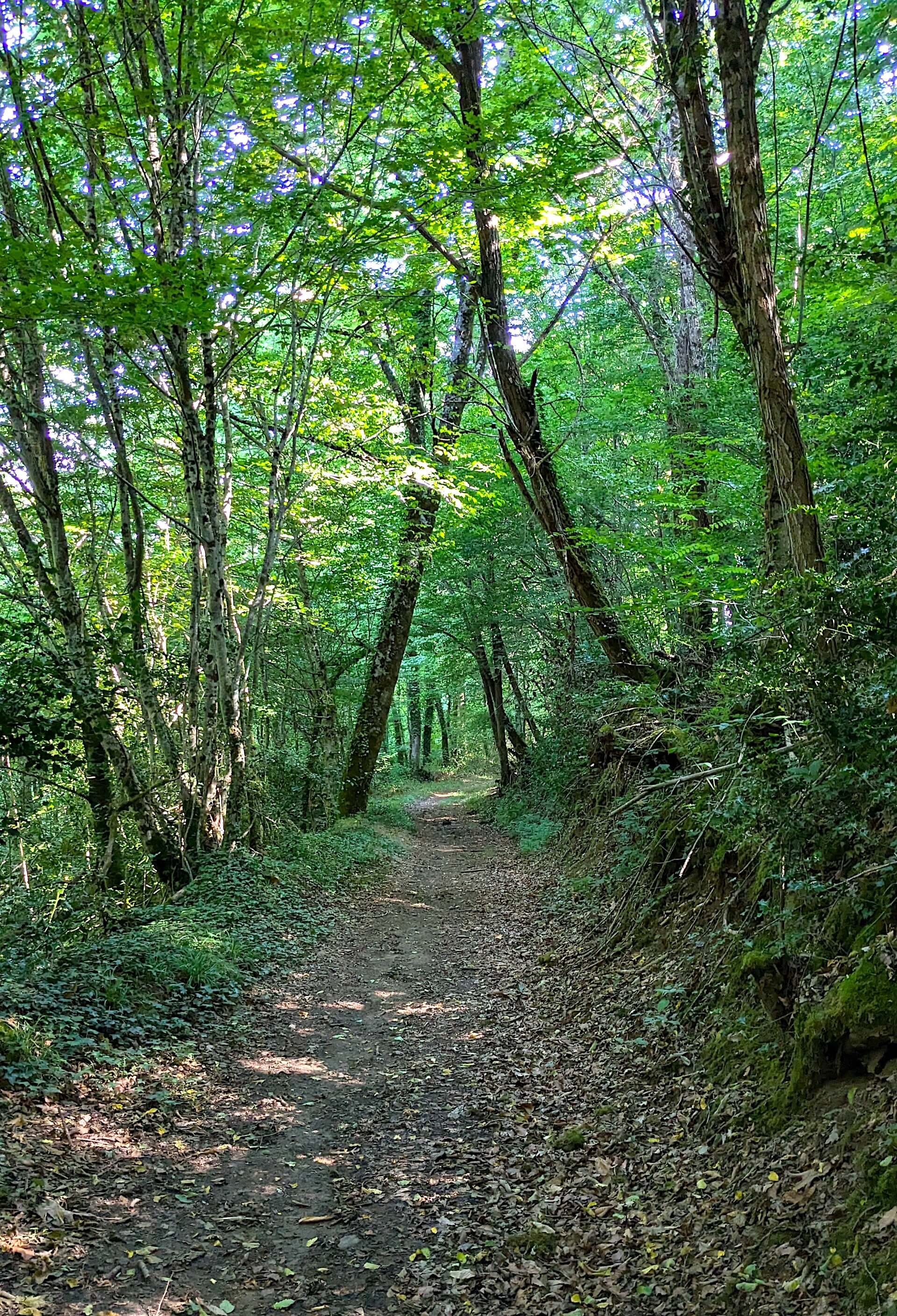 Sentier du Bois Jeansac