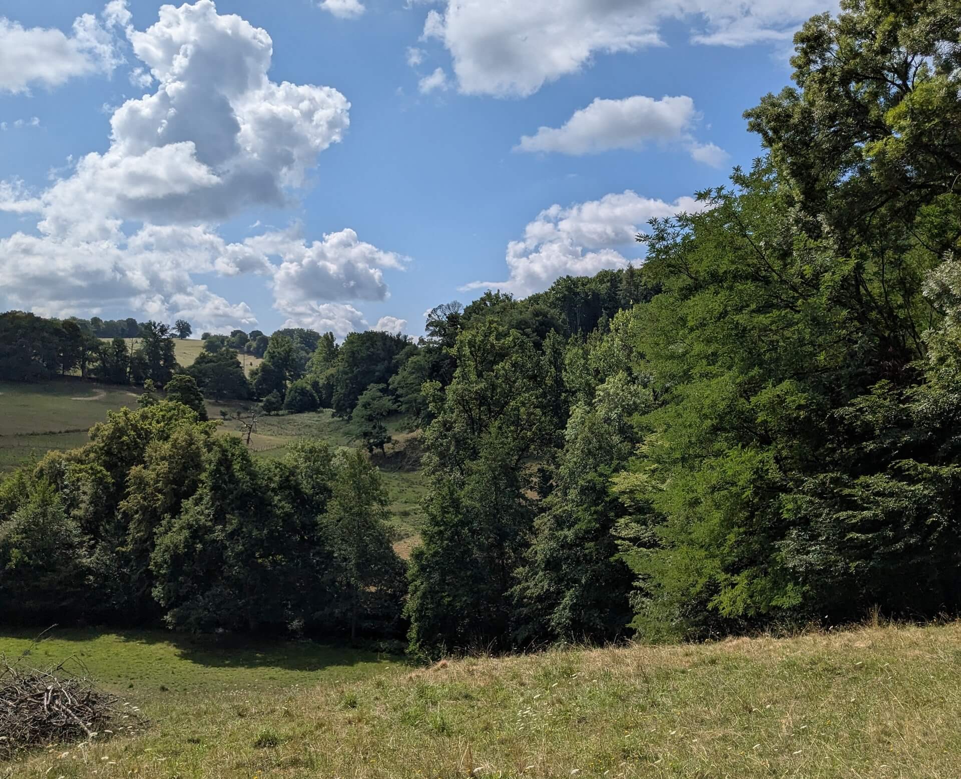 Sentier du Bois Jeansac, Glanges - photo 14