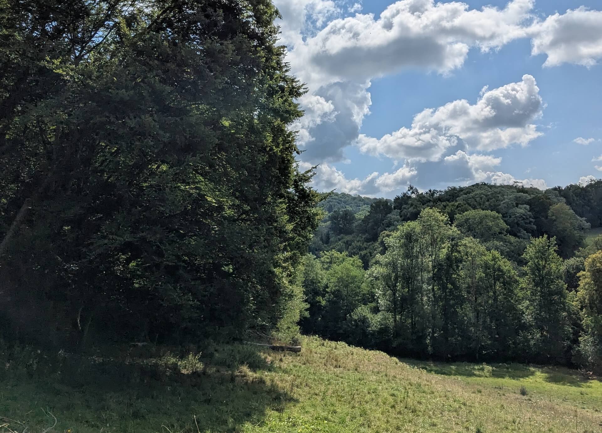 Sentier du Bois Jeansac, Glanges - photo 15