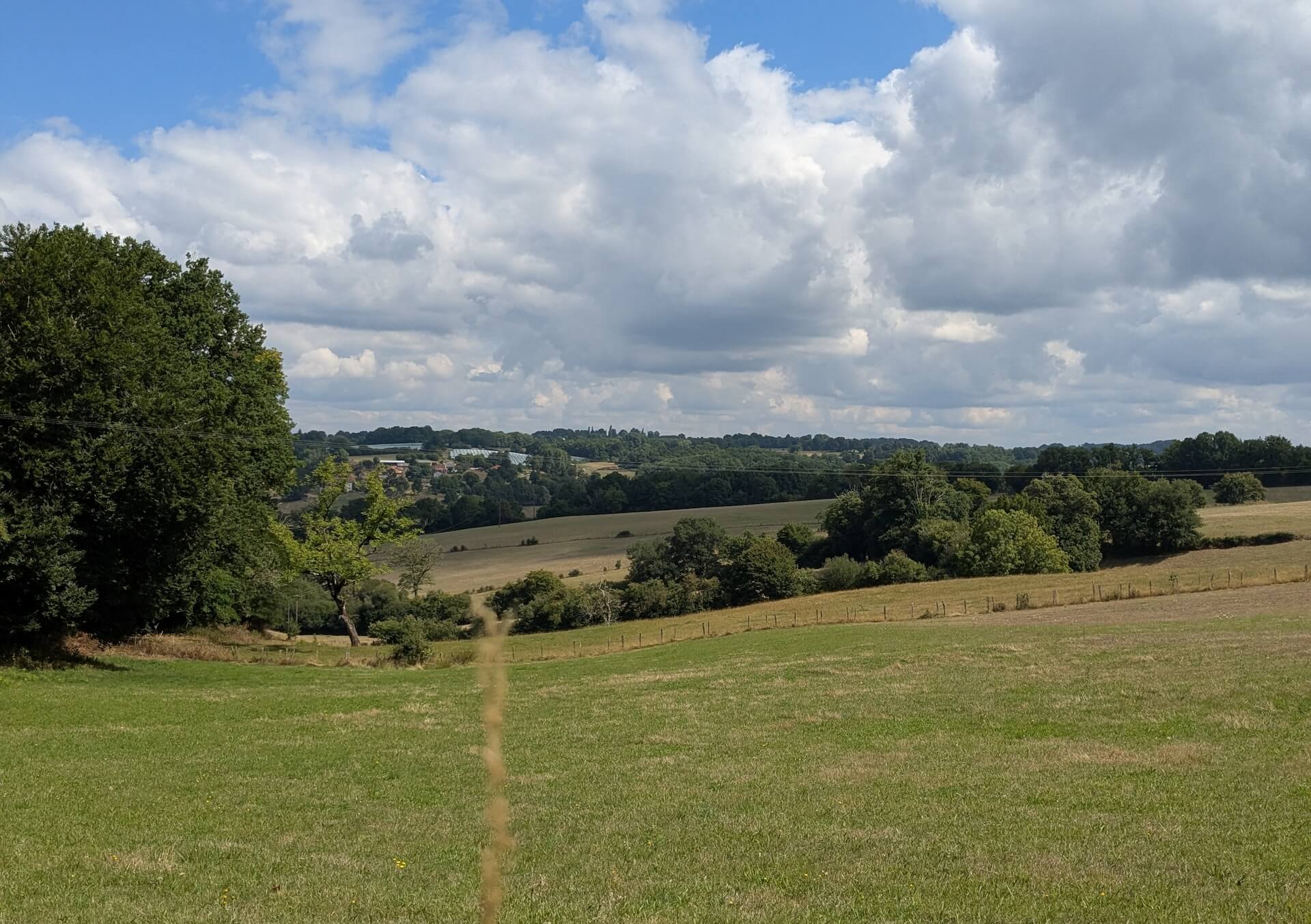 Sentier du Bois Jeansac, Glanges - photo 6