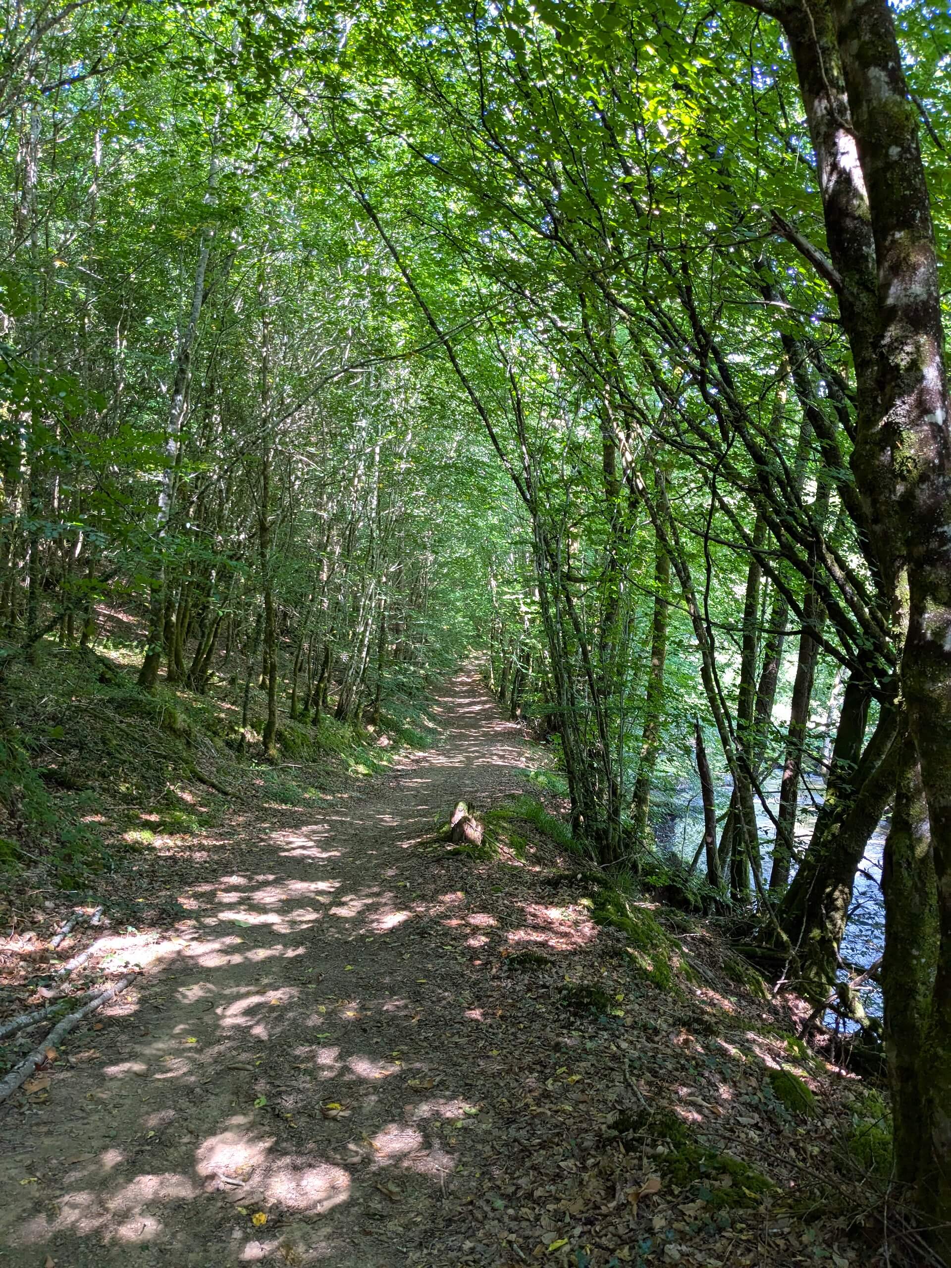 Sentier du Bois Jeansac, Glanges - photo 4