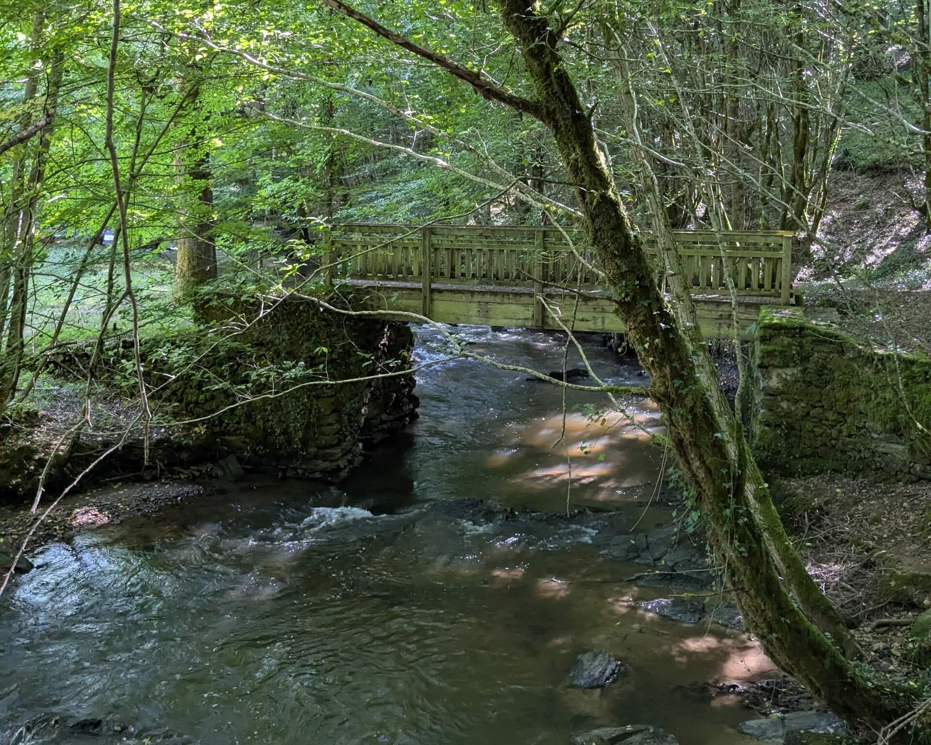 Sentier du Bois Jeansac, Glanges - photo 17
