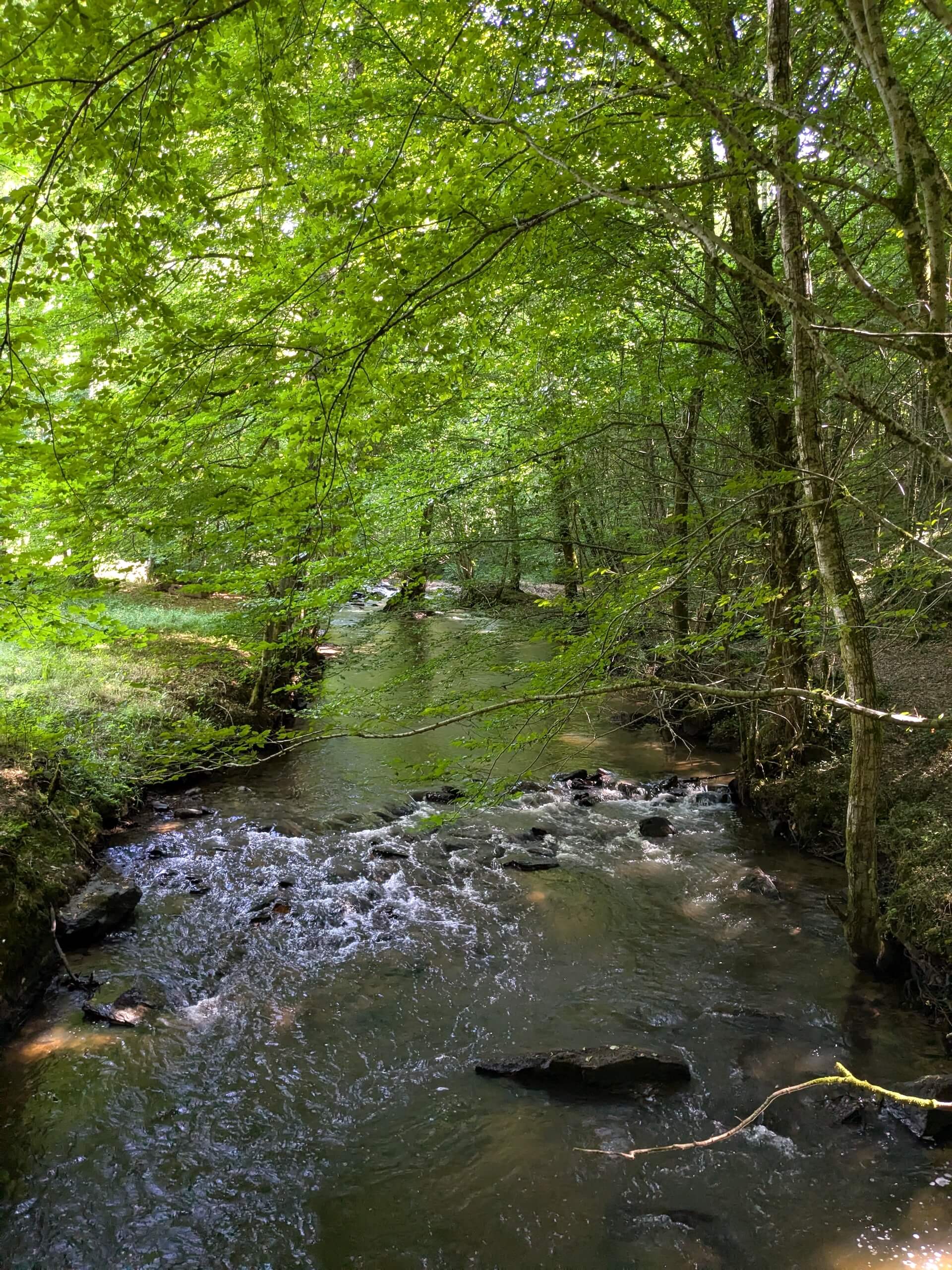Sentier du Bois Jeansac, Glanges - photo 13