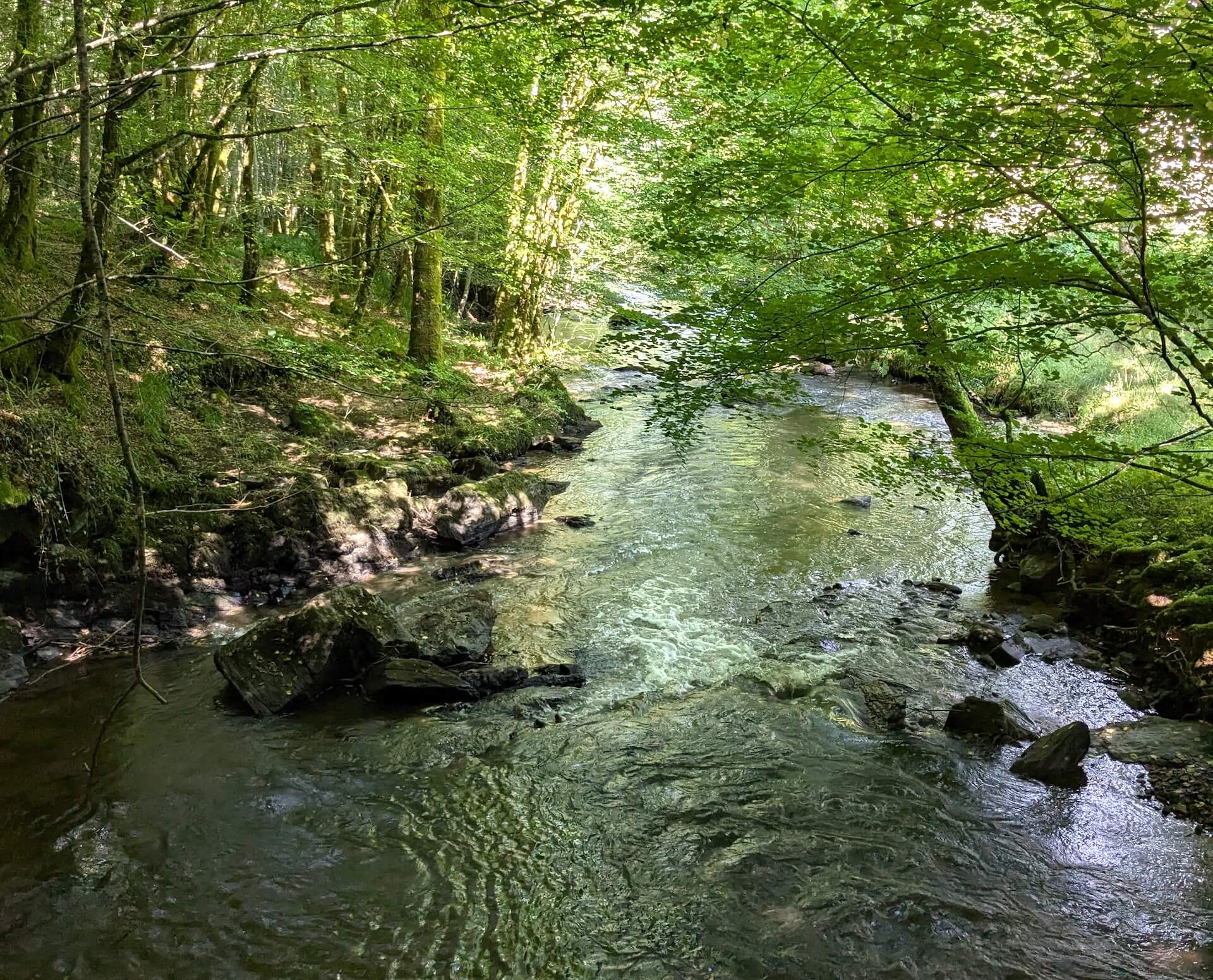 Sentier du Bois Jeansac, Glanges - photo 10
