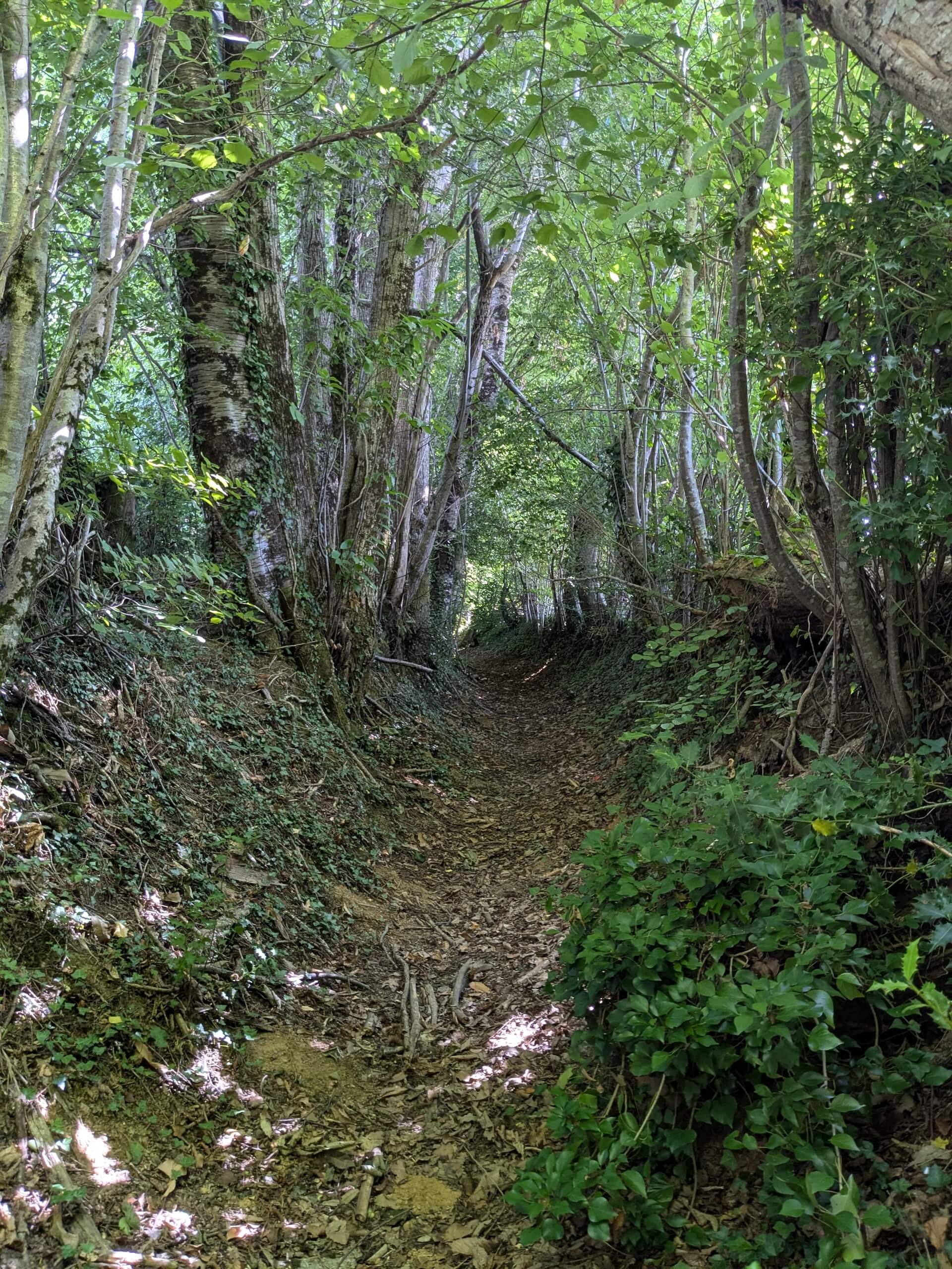 Sentier du Bois Jeansac, Glanges - photo 9