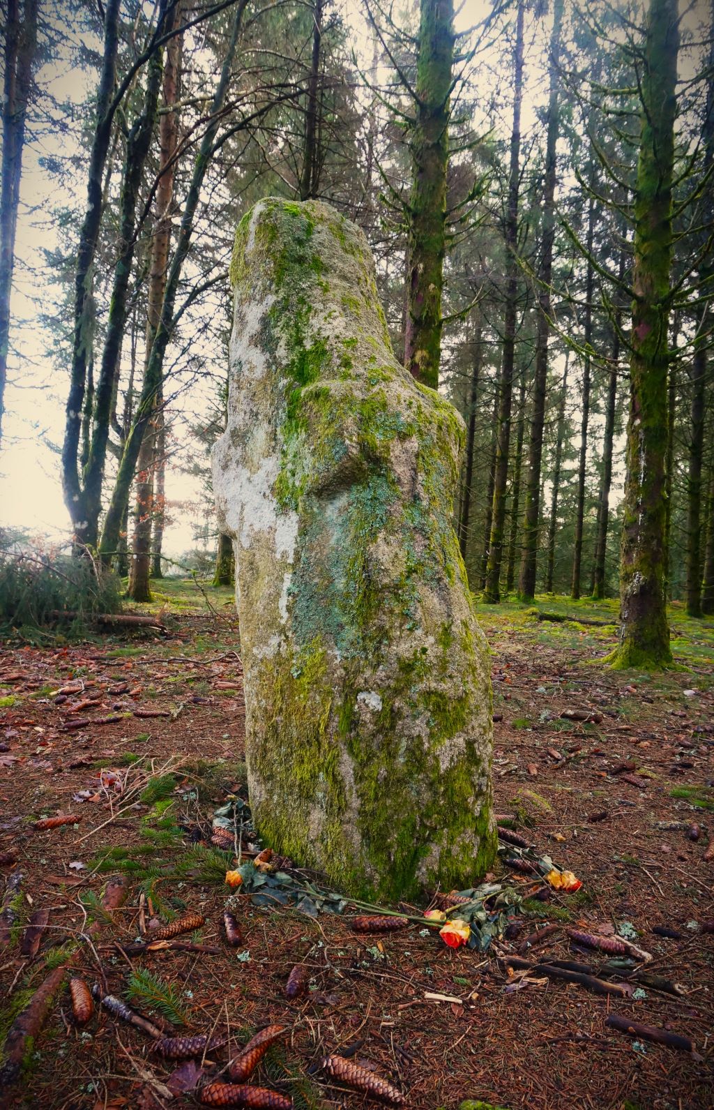Le Moulin de Chadebec, Bonnefond - photo 4