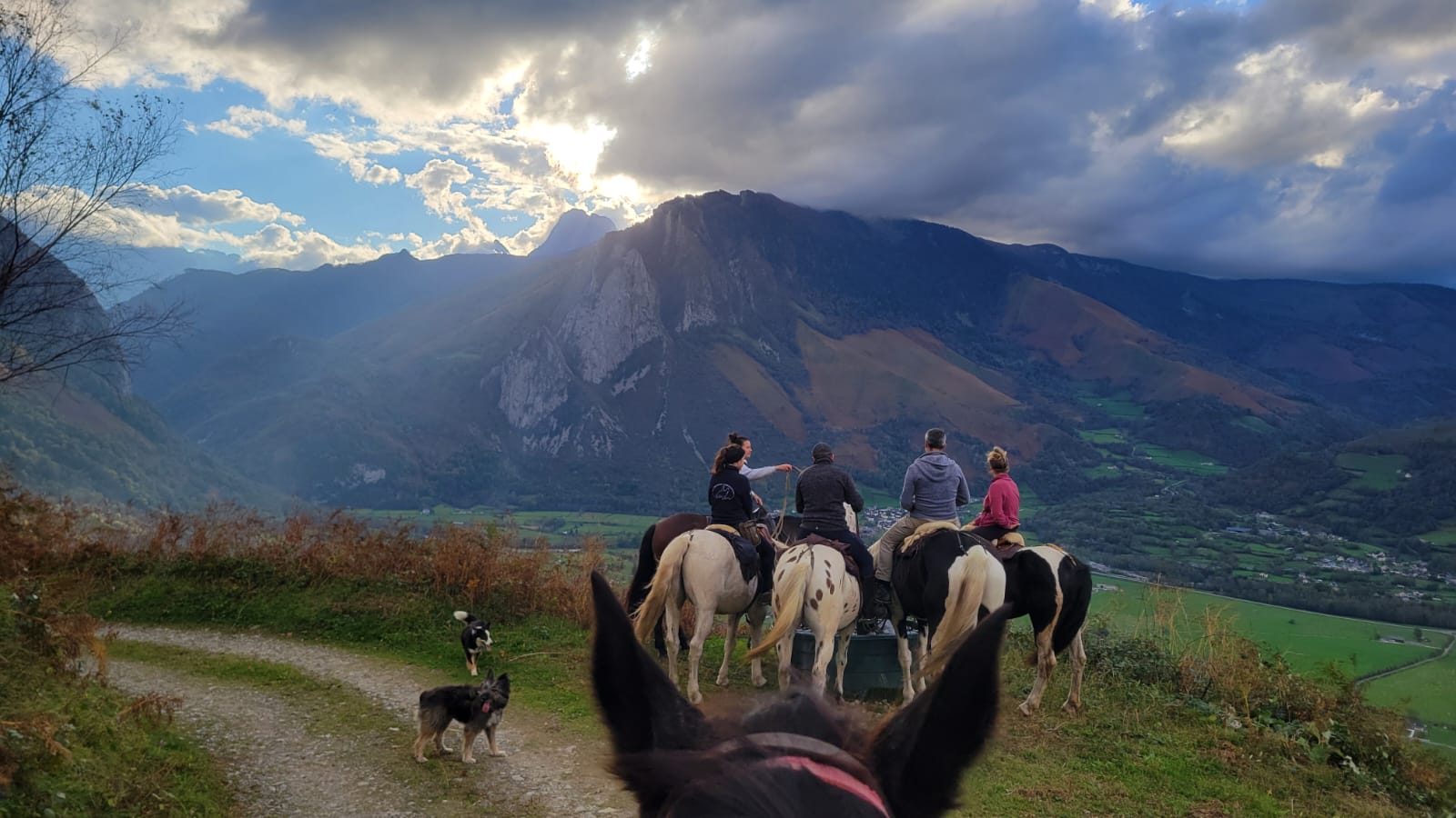 Monsieur Eric BONNEMAZOU - Accompagnateur Equestre