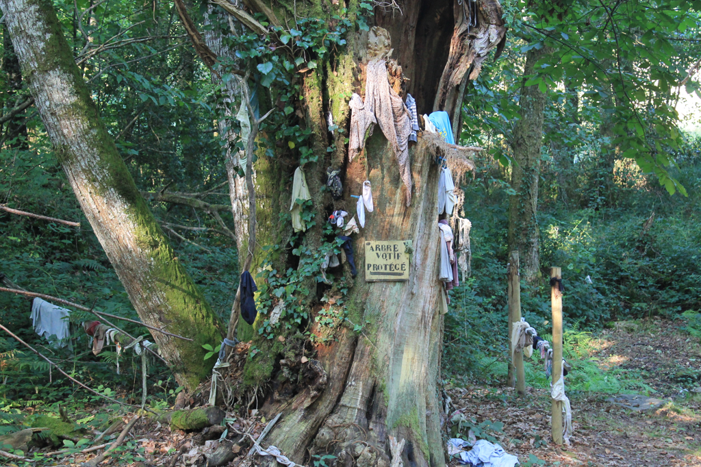 Bonnes Fontaines Saint Jean